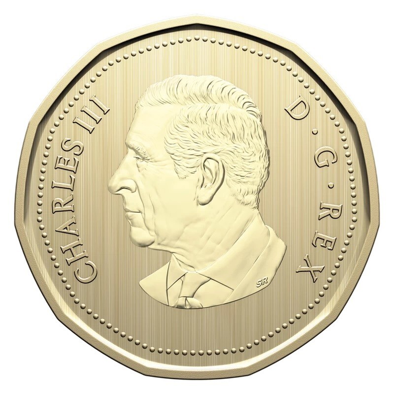 Canada 2024 - Northern Leopard Frog - Specimen Loonie!!