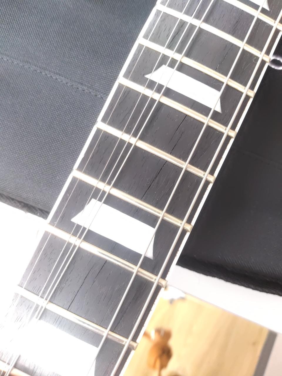 BACCHUS BARON-FM FB electric guitar