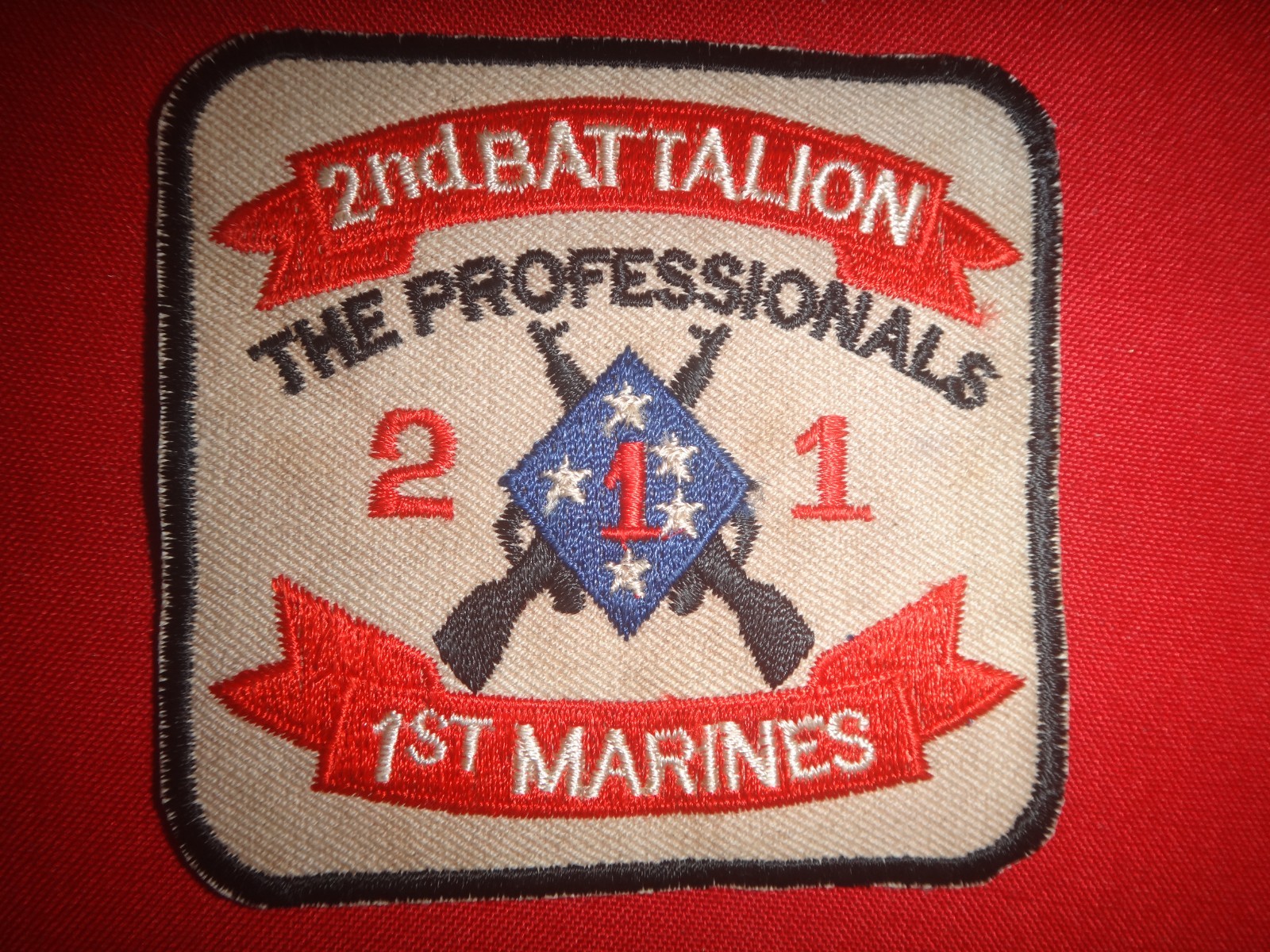 Vietnam War Patch USMC 2nd Battalion 1st Marine Rgt 1st Marine Div PROFESSIONALS