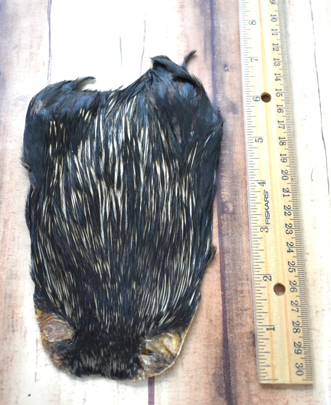 Lot 239, Natural India Rooster Streamer Neck Cape Feathers