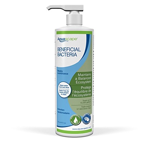 Aquascape Liquid Beneficial Bacteria for Pond and Water Features, 16-Ounce, Easy