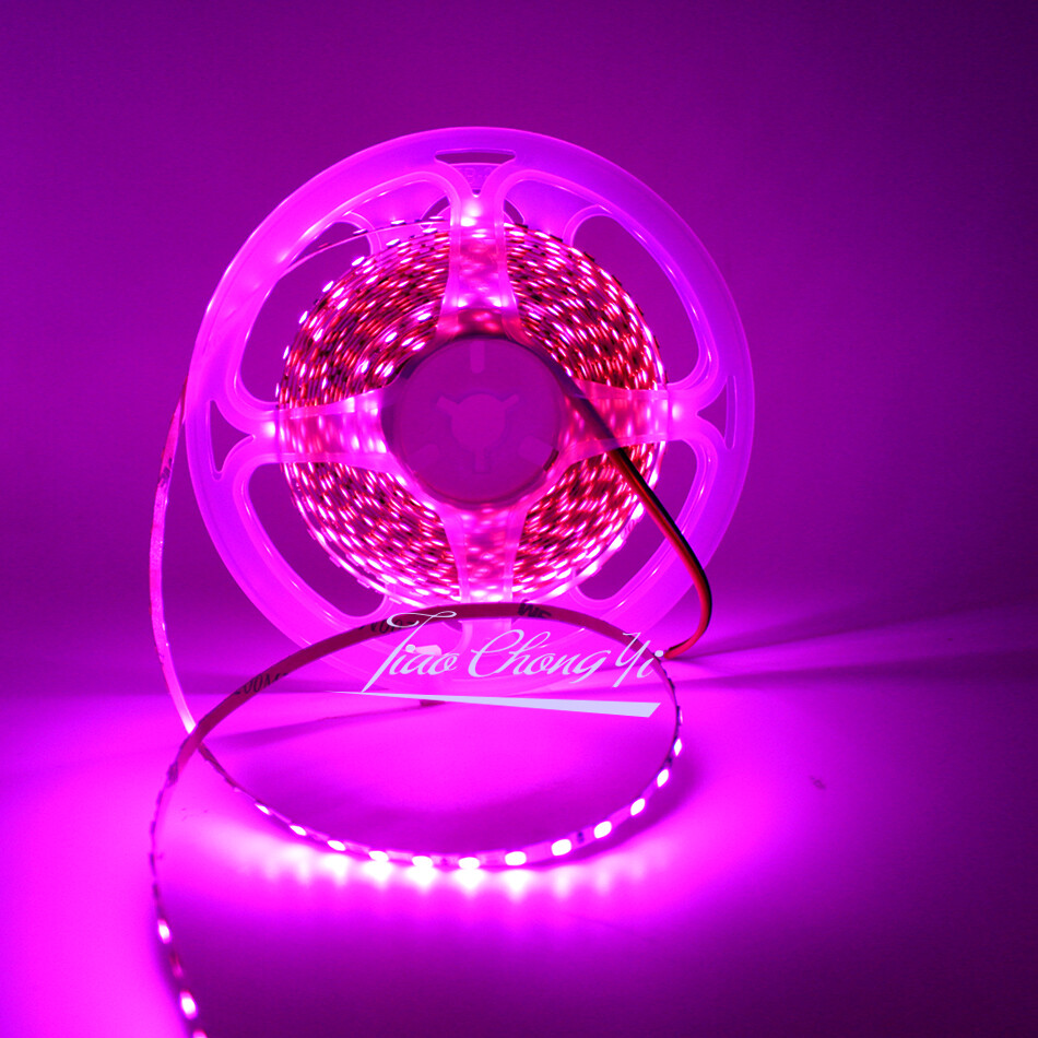 DC12V 2835 led strip 120leds/m 5m Length 4mm/5mm Width Flexible String Bright