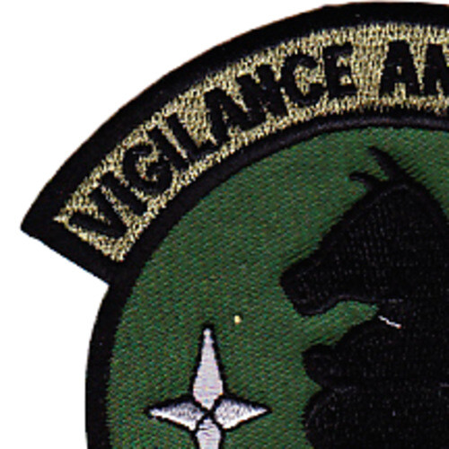 31st Rescue Squadron Patch