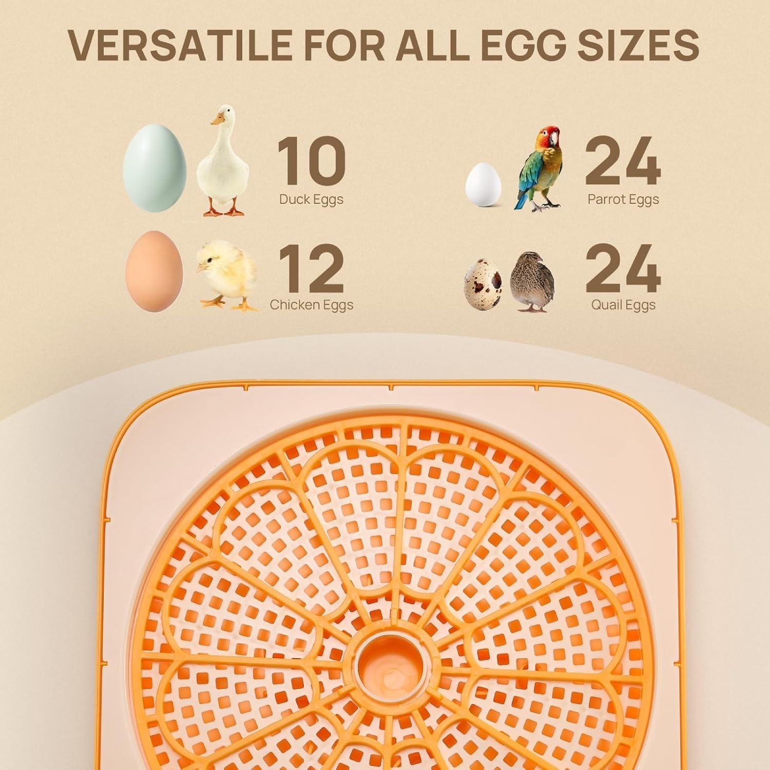 Incubator for Hatching Eggs, Automatic Turning, Temperature & Humidity Contro...