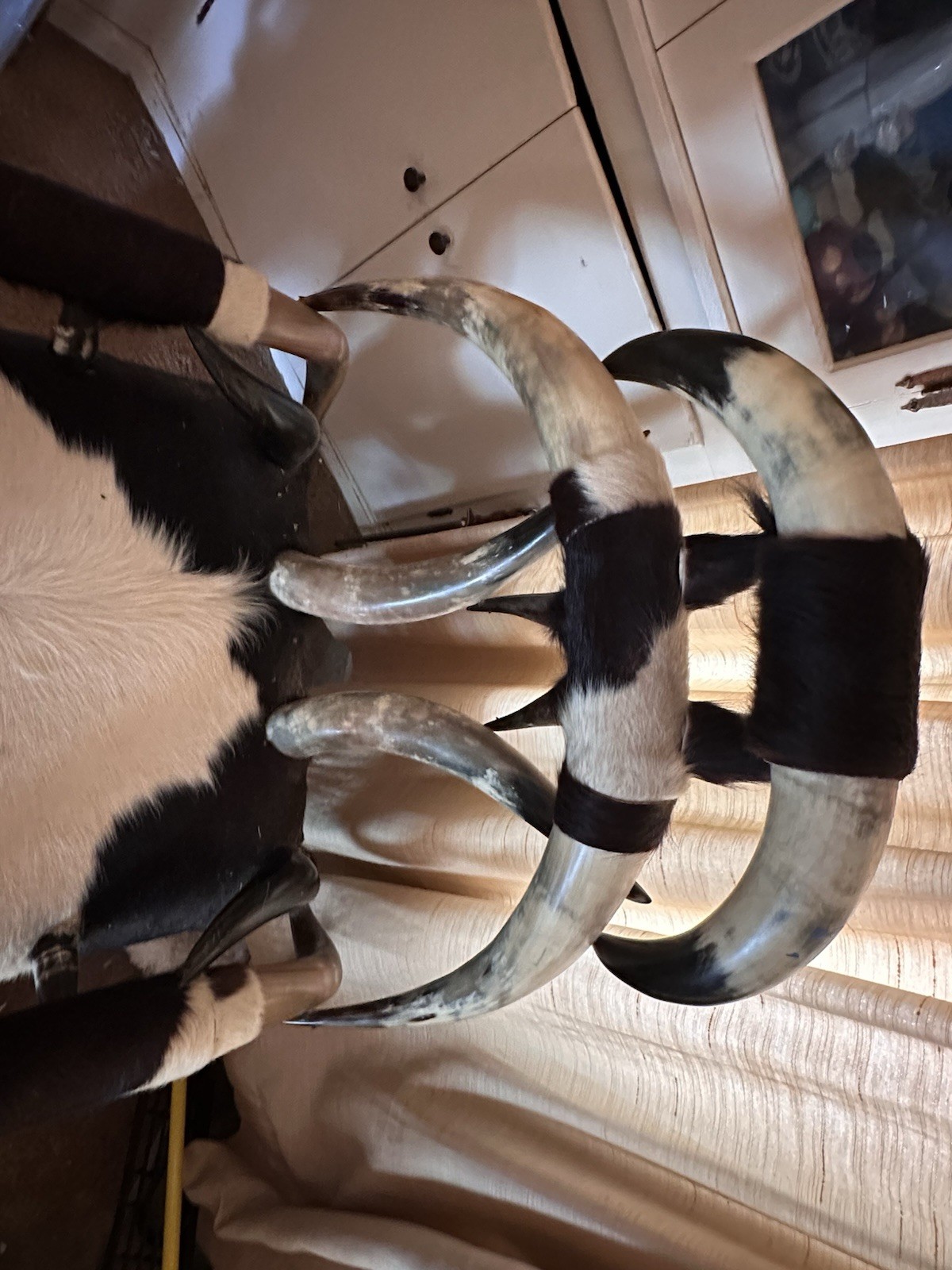 Texas Longhorn 2 Piece Chair Set