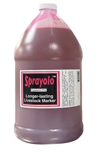 Sprayolo Livestock Marker Gallon – Ready-to-Use - Pink