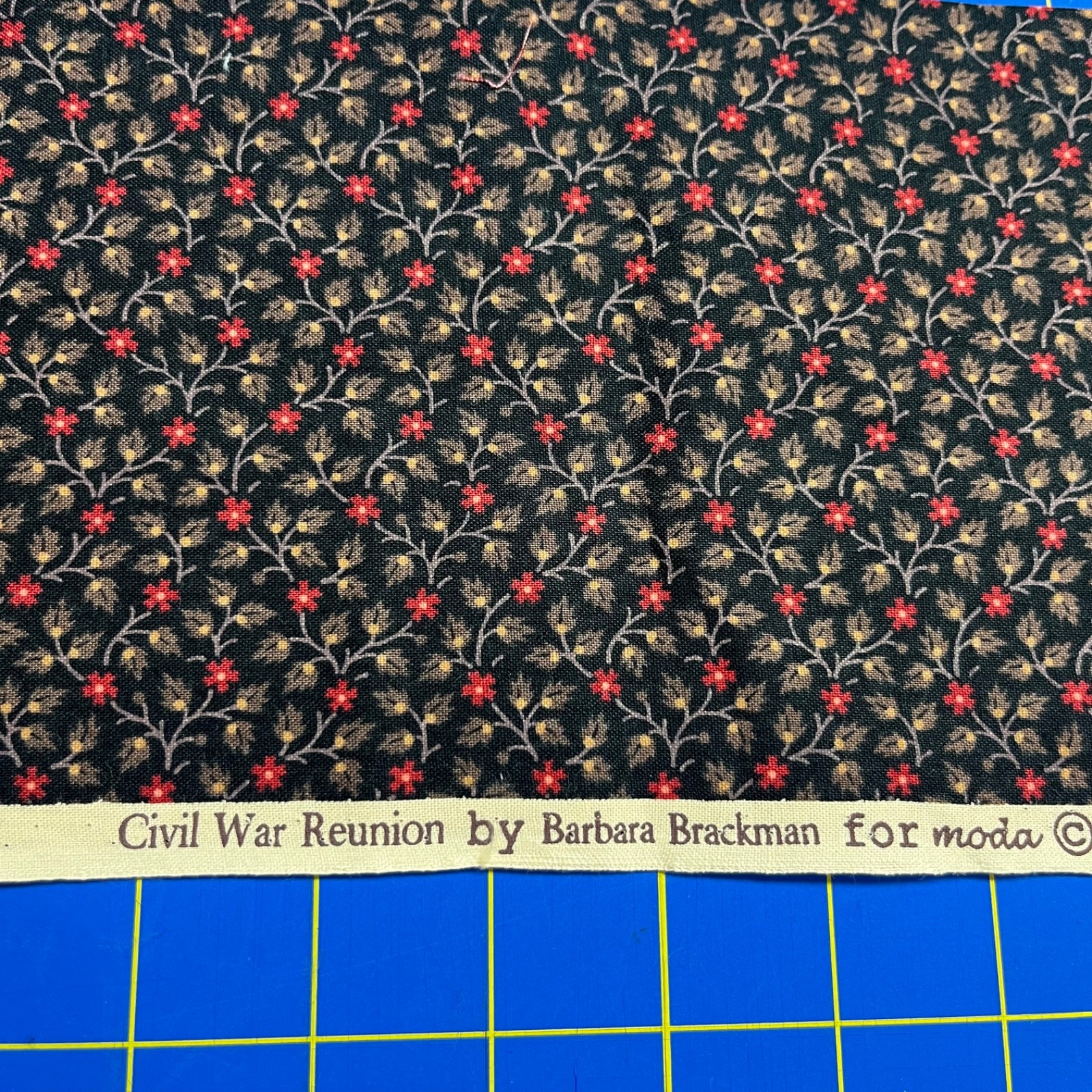 Moda CIVIL WAR REUNION by Barbara Brackman ARLINGTON 2 Strips 40”x5”