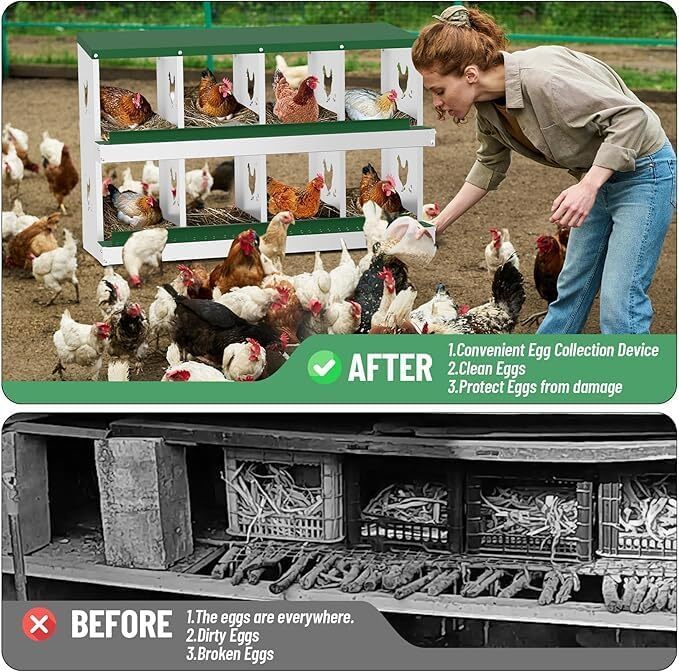 8 Holes Chicken Nesting Box Coop Egg Laying Box with Roll Out Egg Collection US