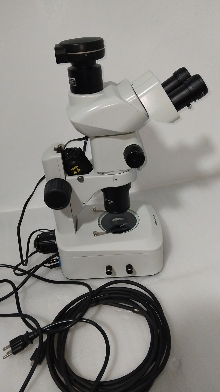 Olympus SZX7 Microscope