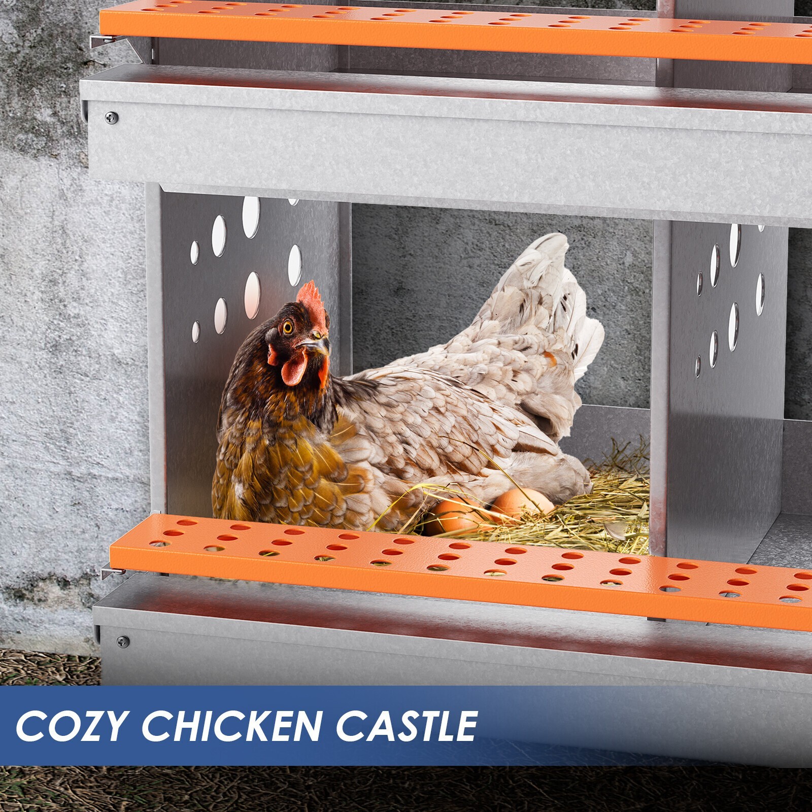 6 Hole Chicken Nesting Boxes Metal Egg Laying Brooding Box With Vent Hole Set