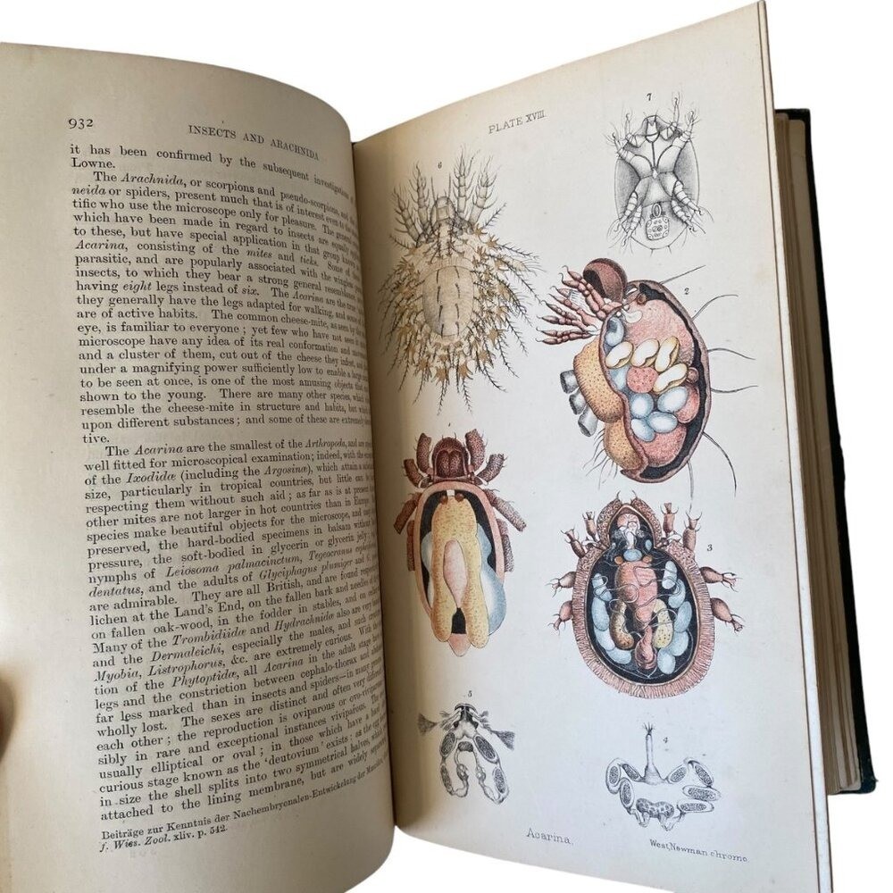 The Microscope And Its Revelations 7th Ed Carpenter Edited By Dallinger 1891