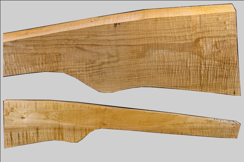 Sugar Maple rifle blank sm79