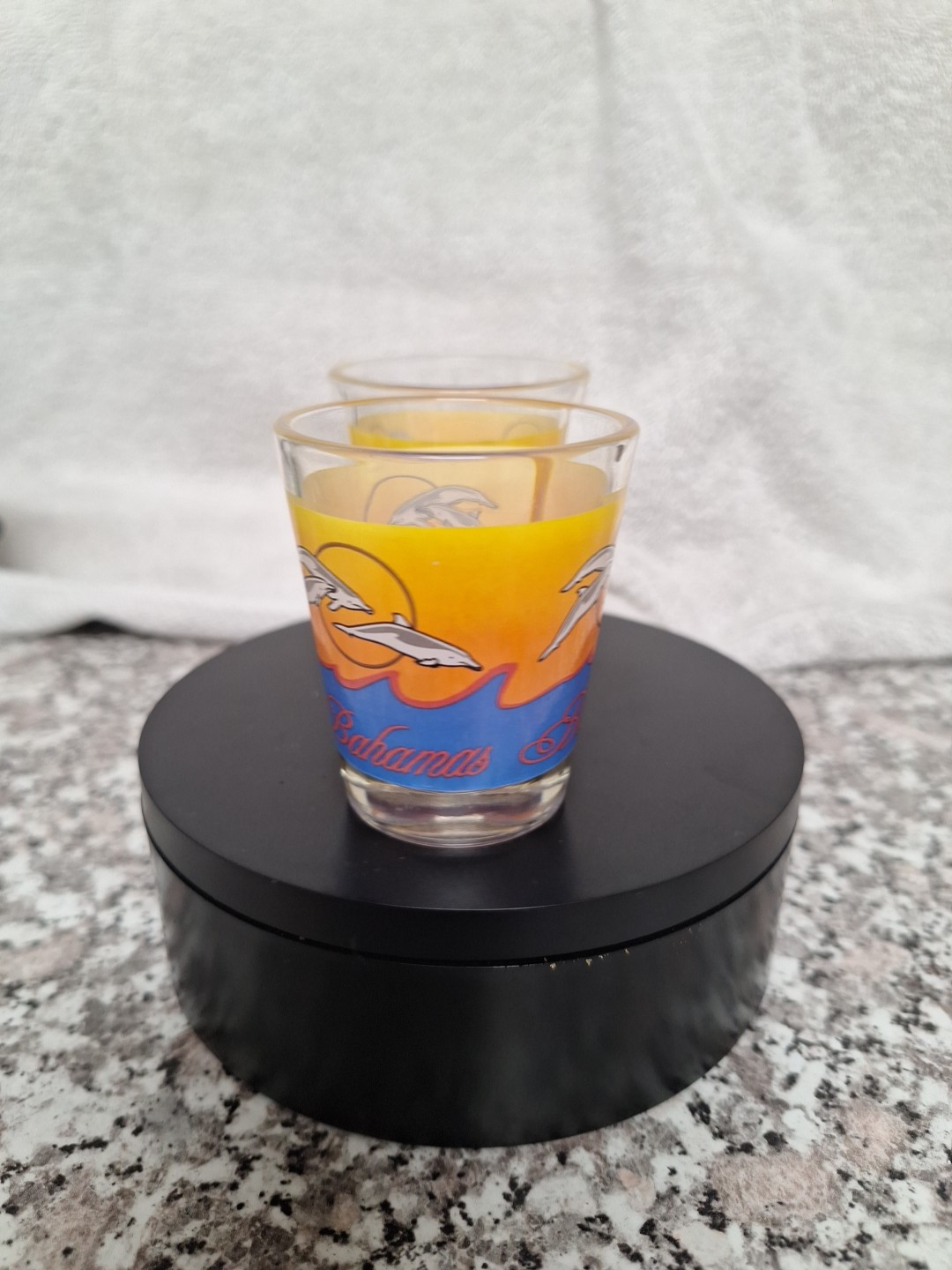 (2) Bahamas Shot Glasses Wih Dolphins And Waves