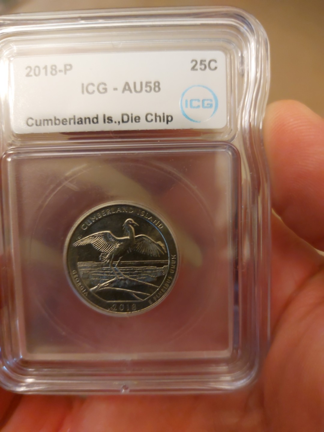 Cumberland Island Error Coin. Large Die Chip On Wing.