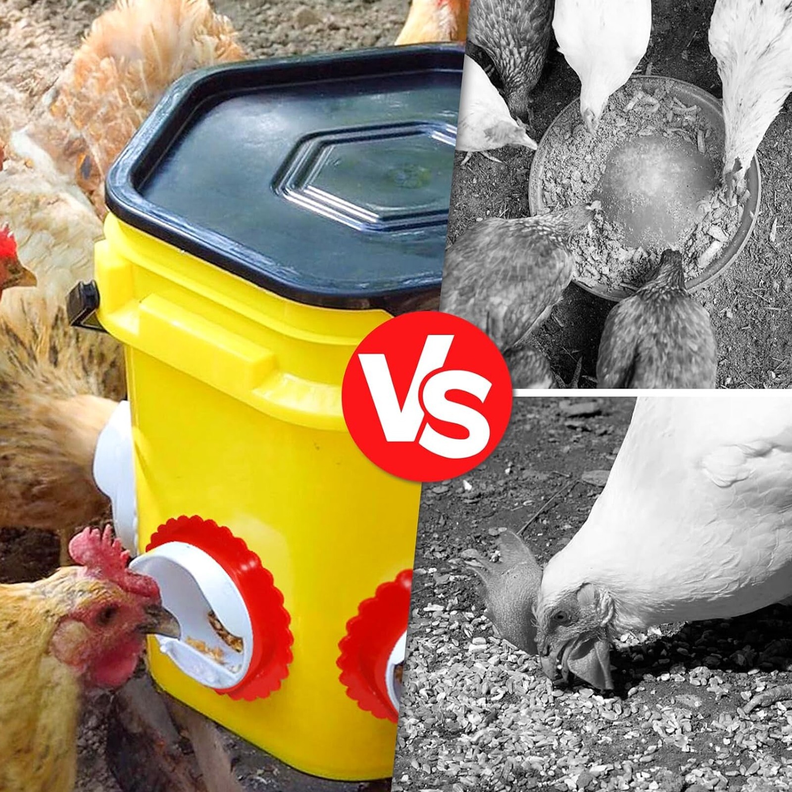 DIY Chicken Feeder, Automatic Rat-proof Chicken Feeder, Rainproof, No Waste 4pcs
