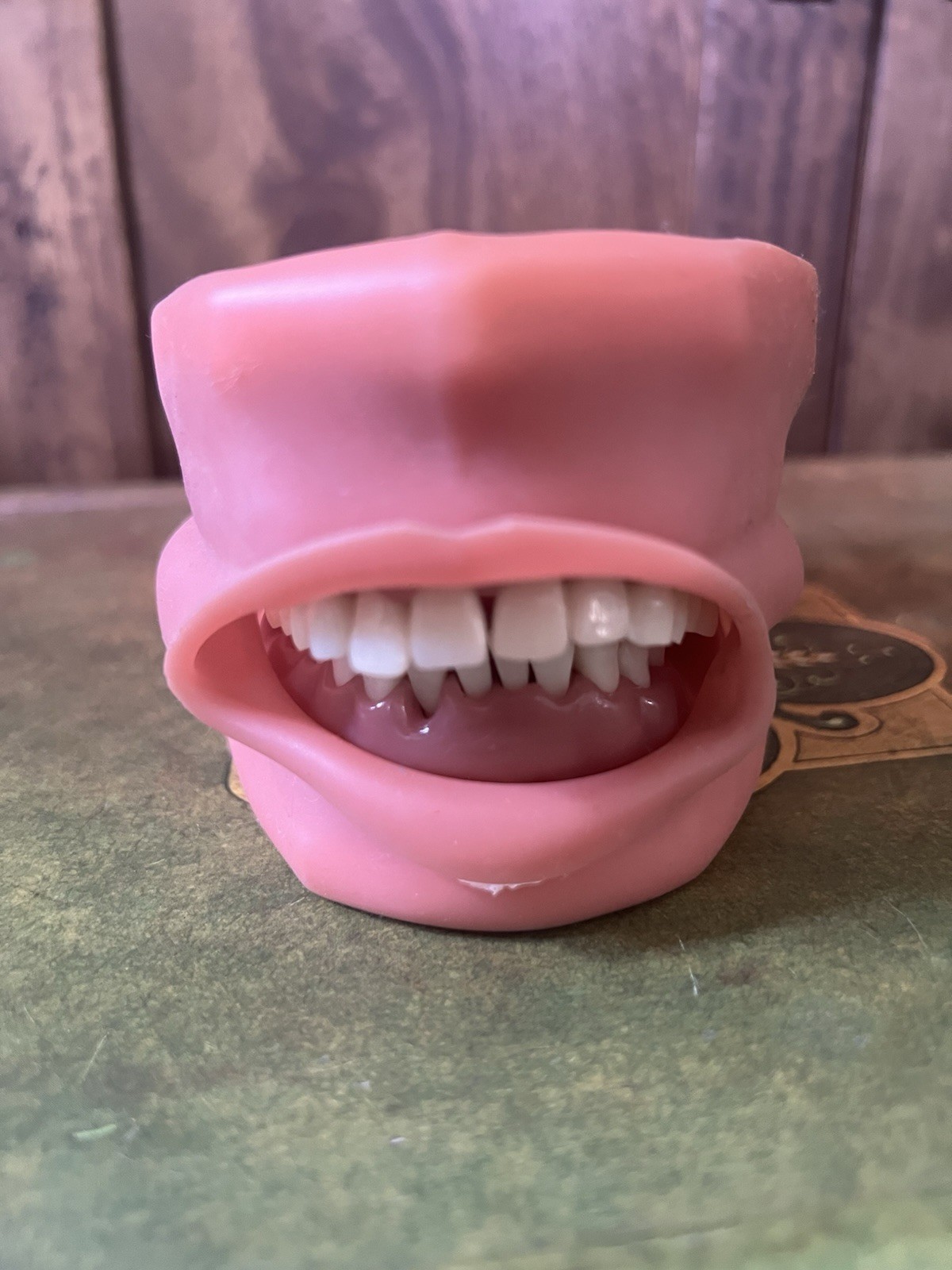 Dental Simulator Mannequin Head Teeth Model Teaching Practicing Head Mold desk