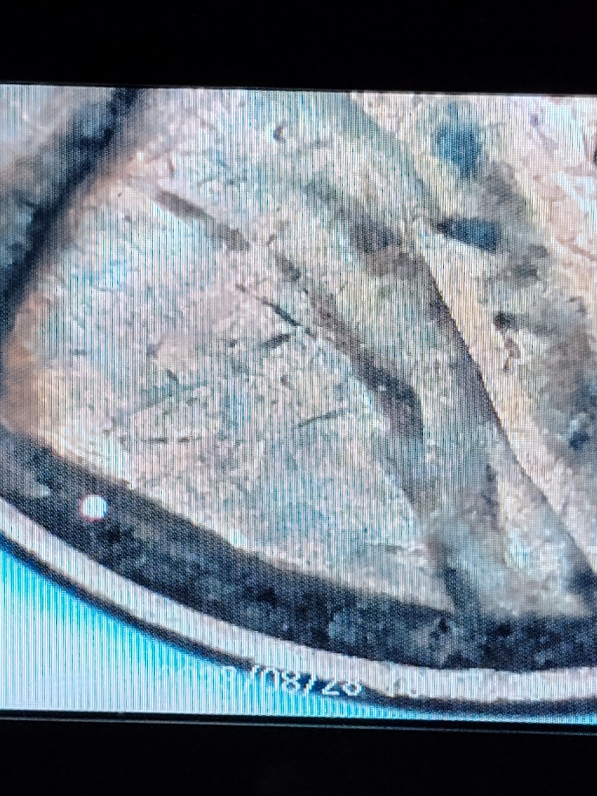 1942 No Mint Mark Wheat Penny Errors Obverse & Reverse