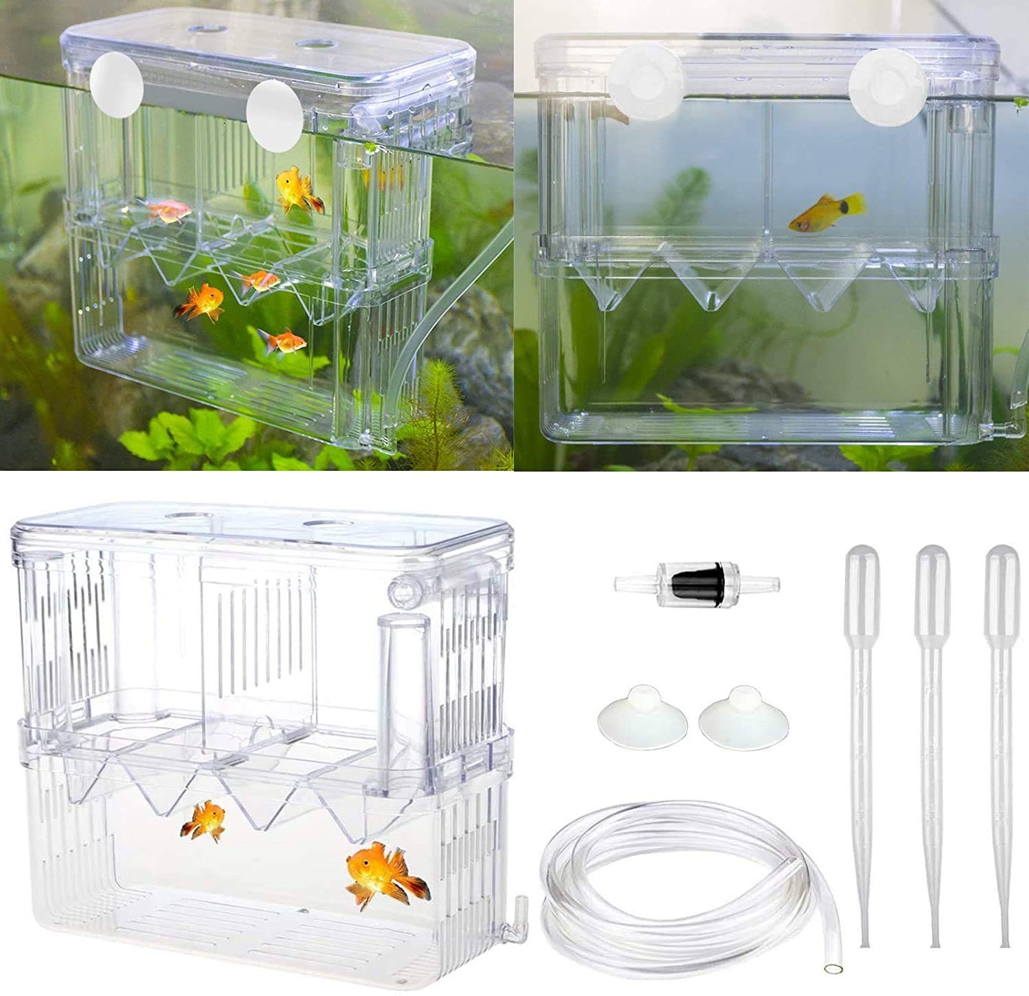 Aquarium Fish Breeder Box, Plastic, Isolation, Hatching Incubator, Guppy, Fry