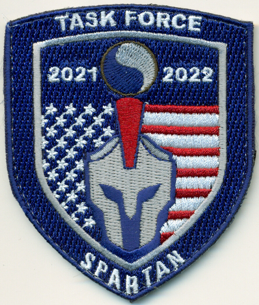ARMY 29th INFANTRY DIVISION TASK FORCE SPARTAN 2021-2022 PATCH
