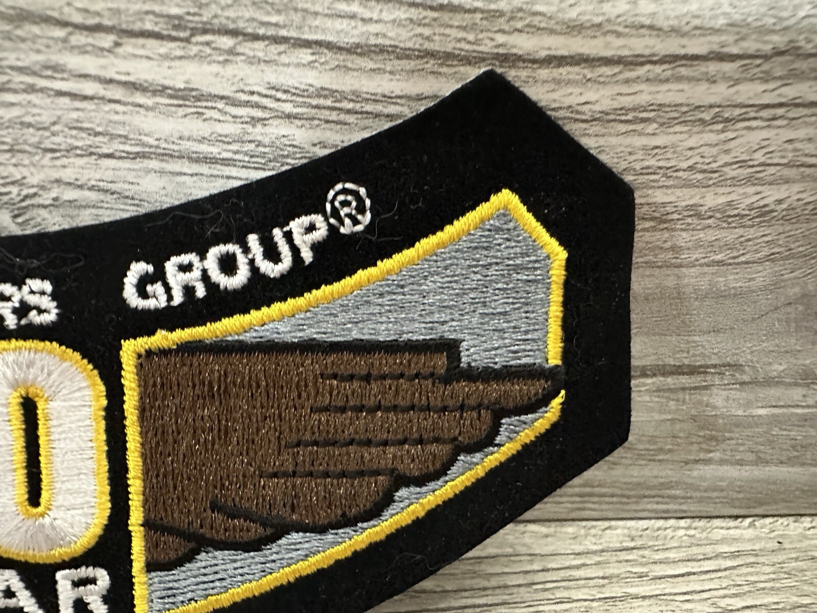 Harley Davidson HOG Owners Group Winged 10 Year Member Patch