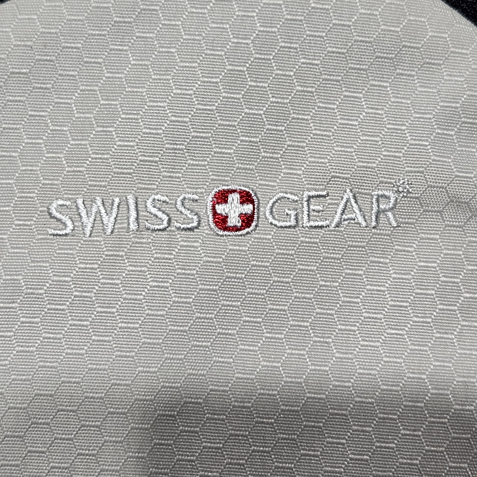 Swiss Gear Hydration Pack