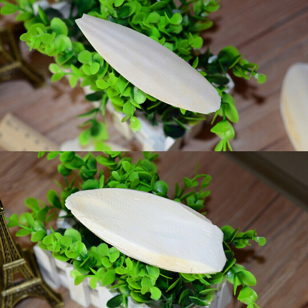 10-20Pc Cuttlebone for Birds Parrot Chewing Cuttle bone for Sharp Beaks 2.4-3.1"
