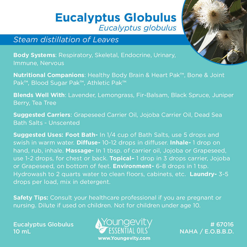 Youngevity ns Eucalyptus Globulus Essential Oil