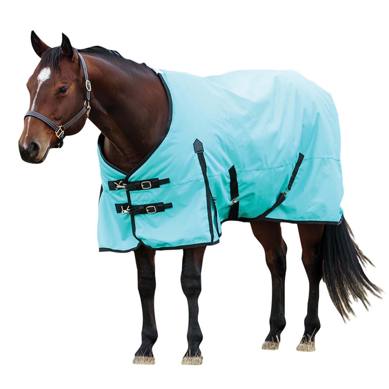 WeatherBeeta ComFiTec Original Standard Neck Medium 220g- Turquoise/Black