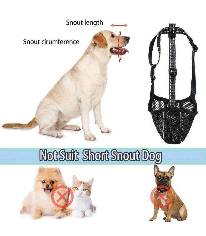 Dog Muzzle Mesh Soft Muzzle Size Small Dogs Breathable No Biting
