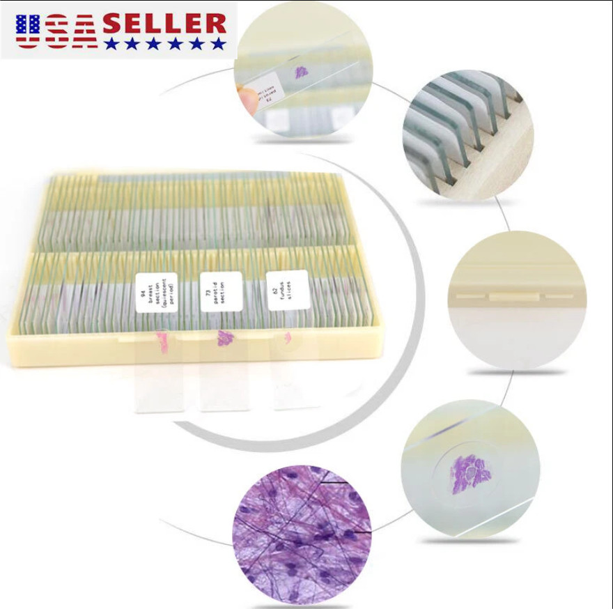 100PCS Mammal Tissue Sections Histology Prepared Specimen Microscope Slides