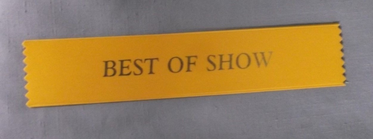 BEST OF SHOW 2 x 10 size yellow ribbon with gold foil letters lot of 5