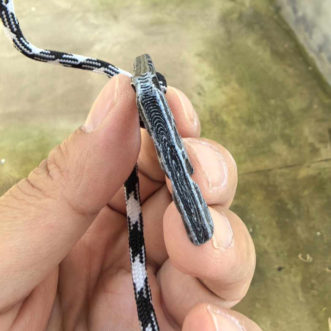 Stainless steel Bottle opener Tool (Simulating meteorite patterns)