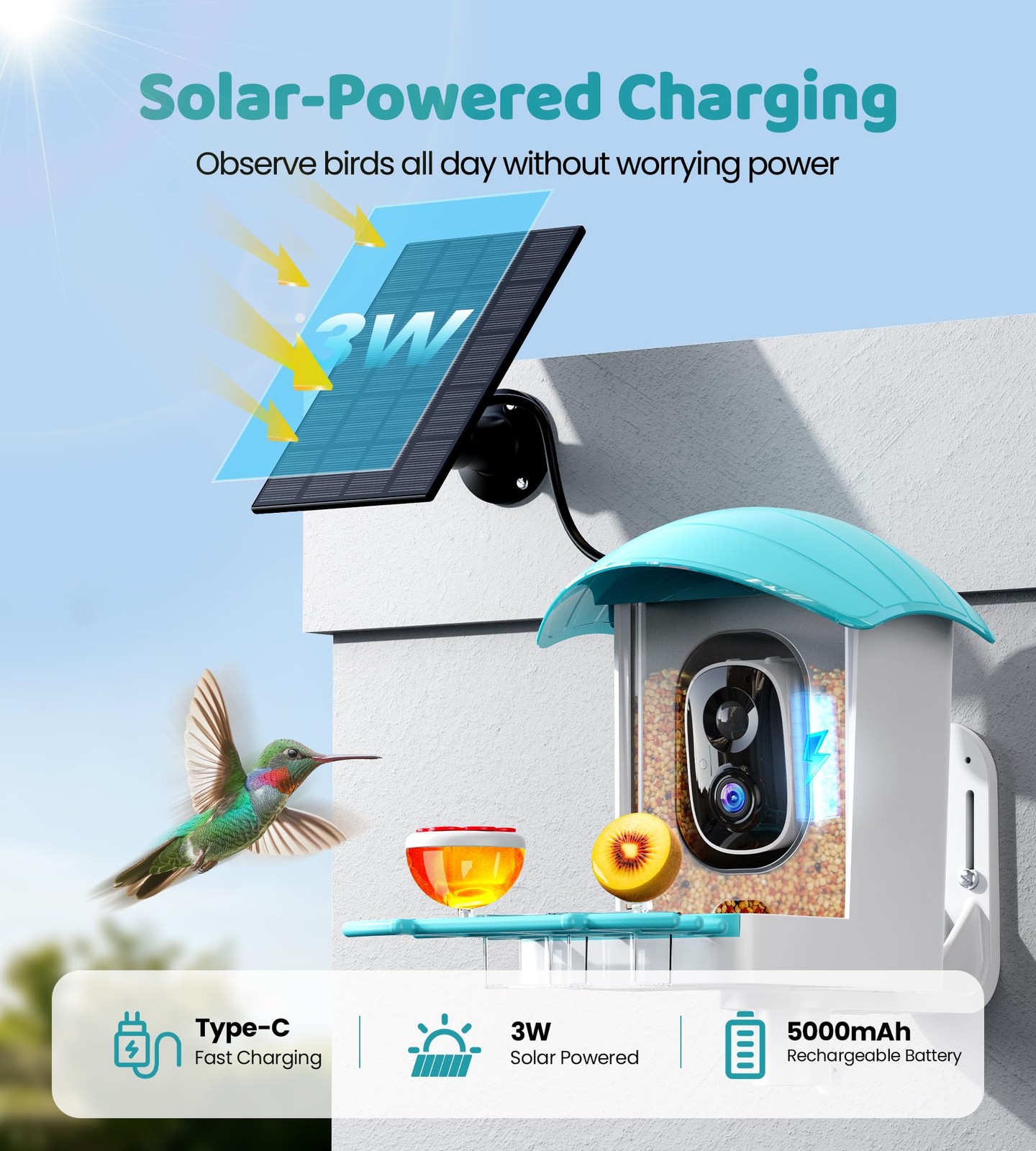 Bird Feeder with Camera Solar Powered: Smart Feeders for Medium, Blue