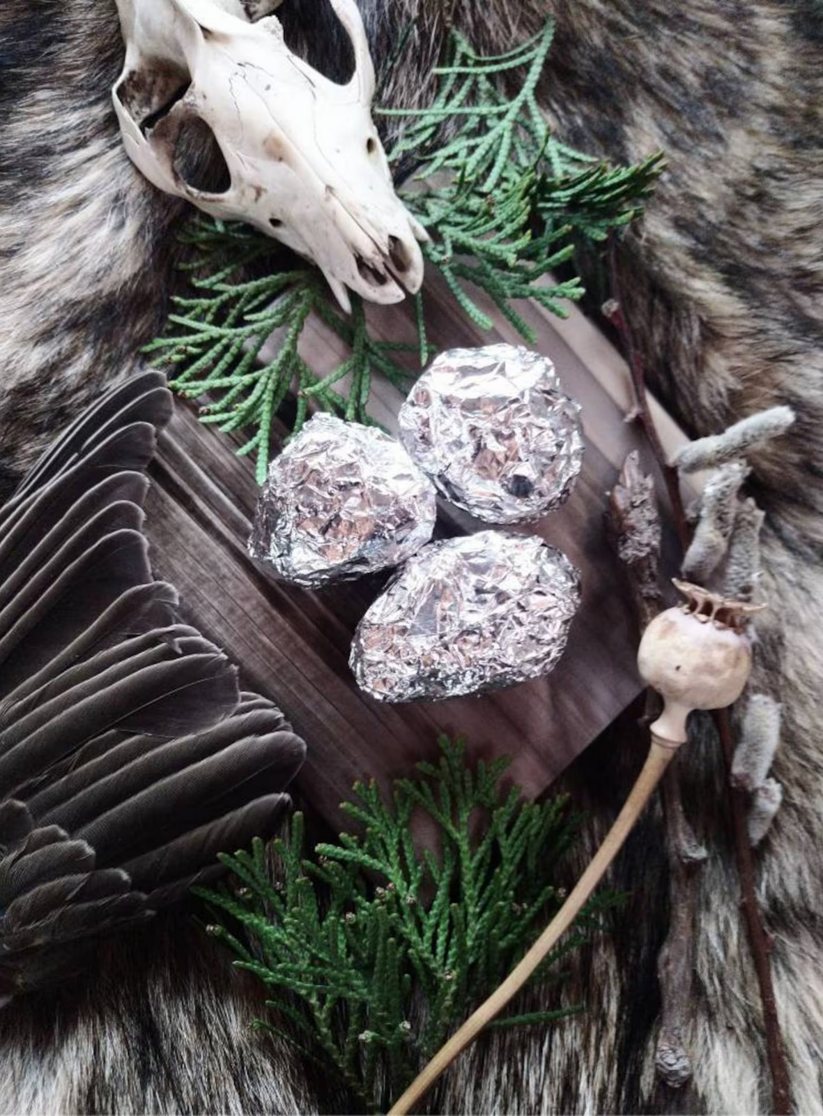 3 LARGE OWL PELLETS - Sterilized - Nature study - Classroom activity