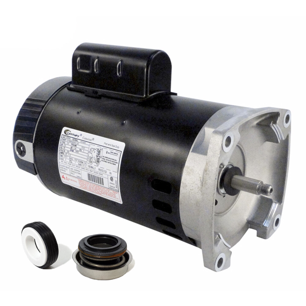 Puri Tech Motor and Seal Replacement Kit for AO Smith B2852 and PS-1000 Seal Kit