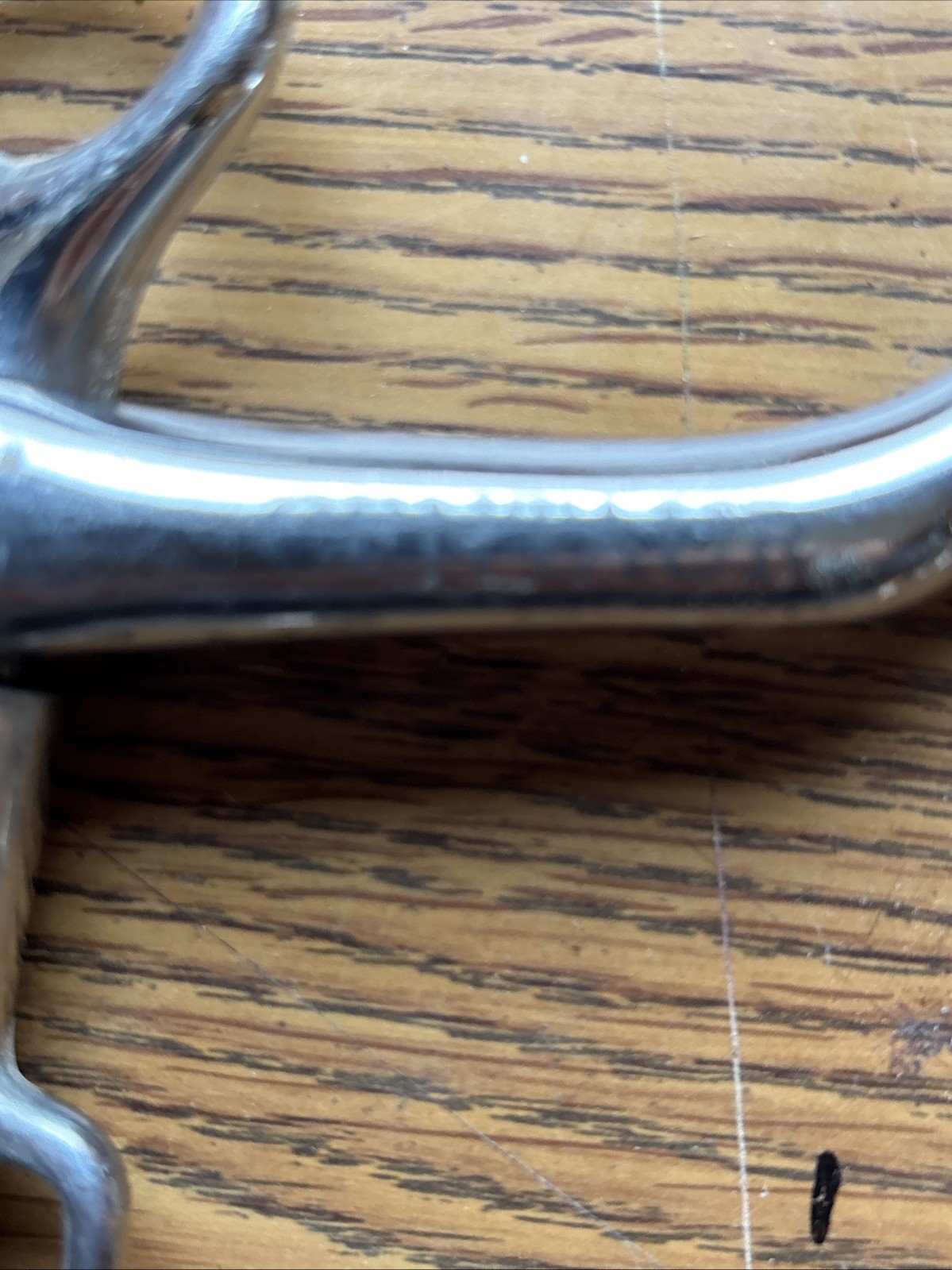 Centaur Stainless 5.5 In. Pelham Bit. New Never Used.