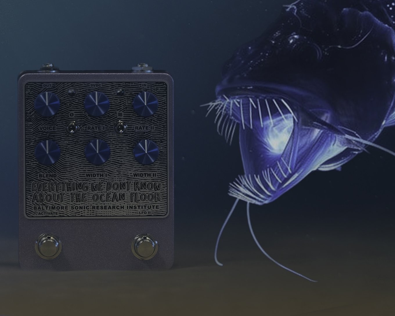 Baltimore Sonic Research Institute EVERYTHING WE DONT KNOW ABOUT THE OCEAN...