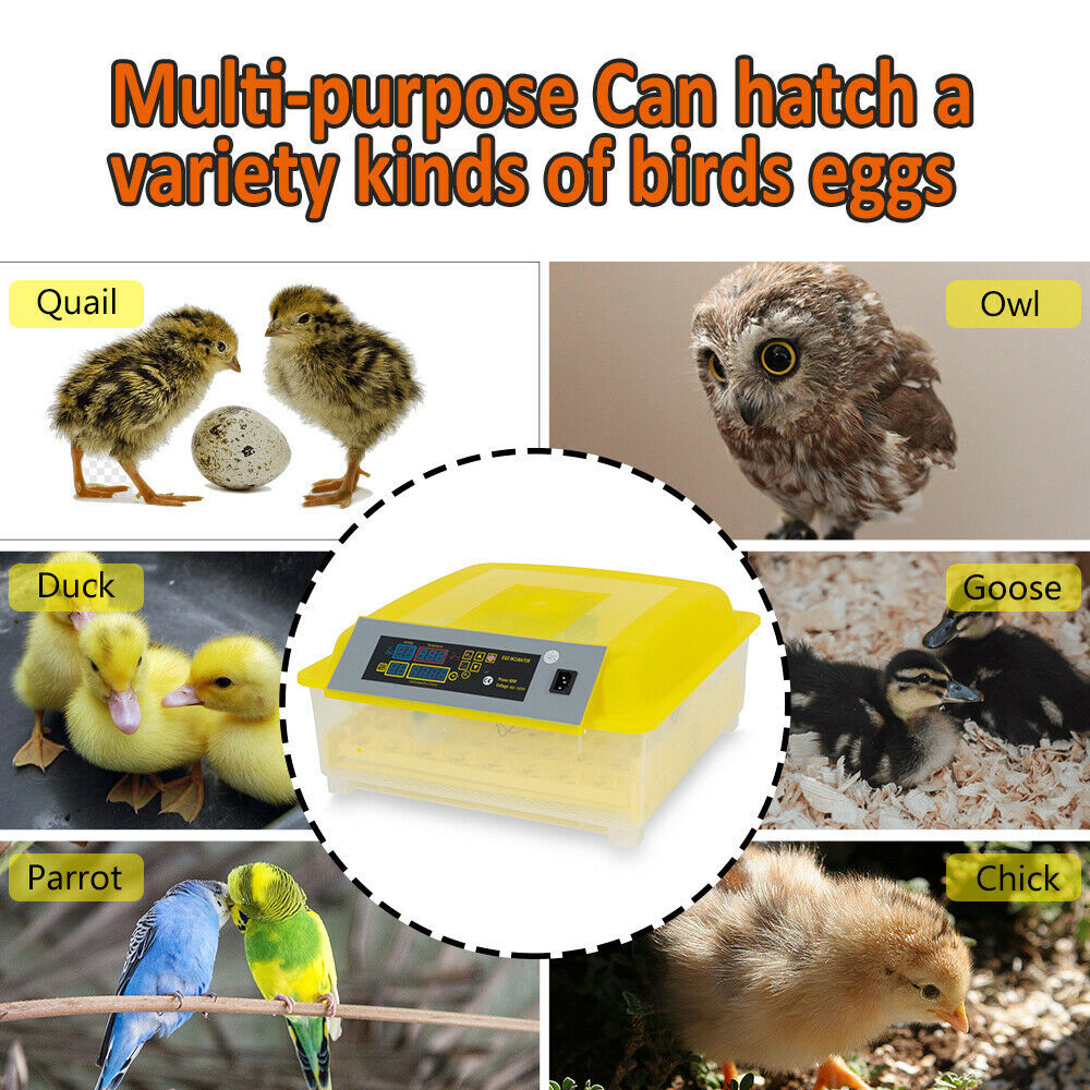 For 48 Digital Egg Incubator Hatcher Automatic Egg Turning Temperature Control