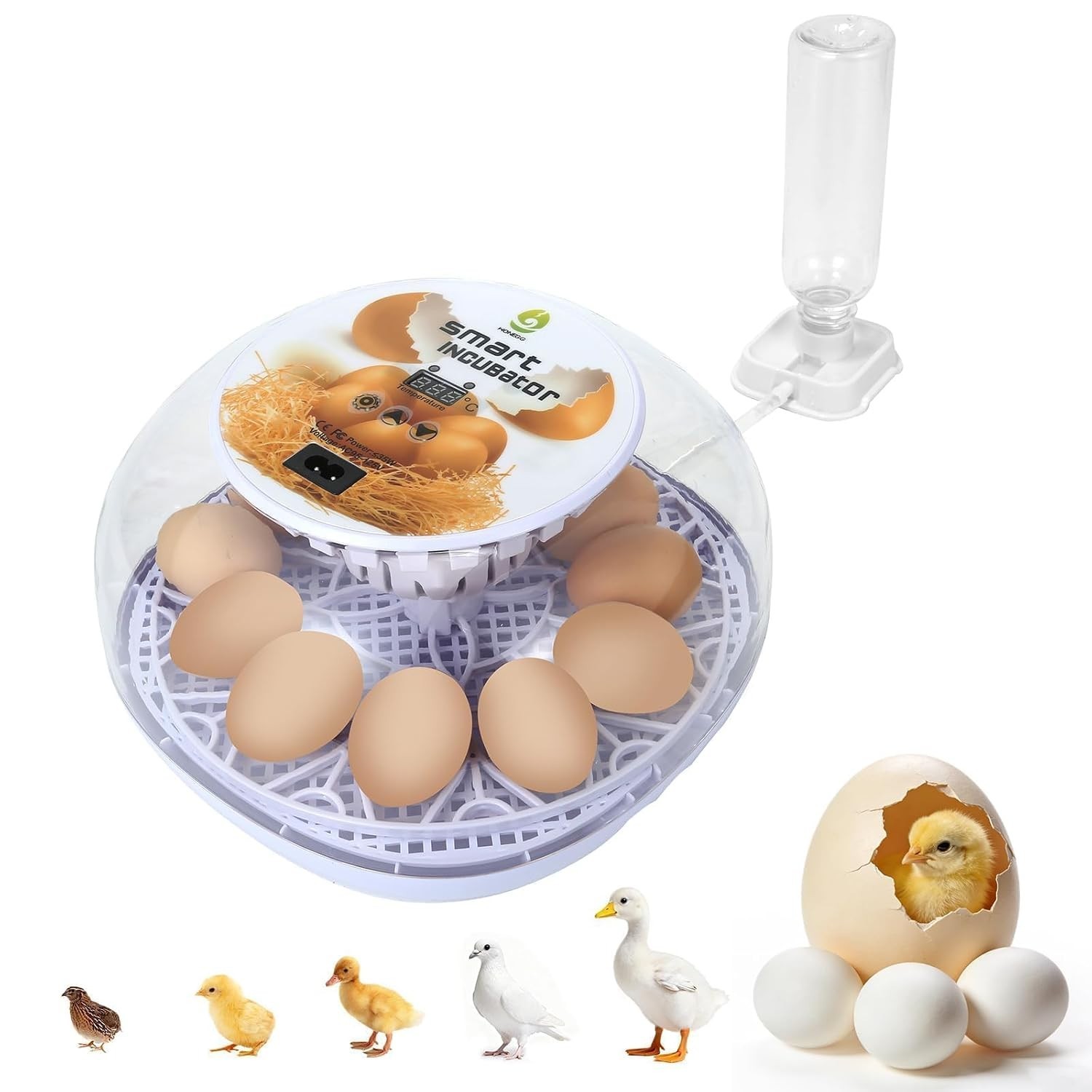 Gen I - 12 Egg Automatic Incubator, Steady Humidity with Auto-Refill, Stable ...