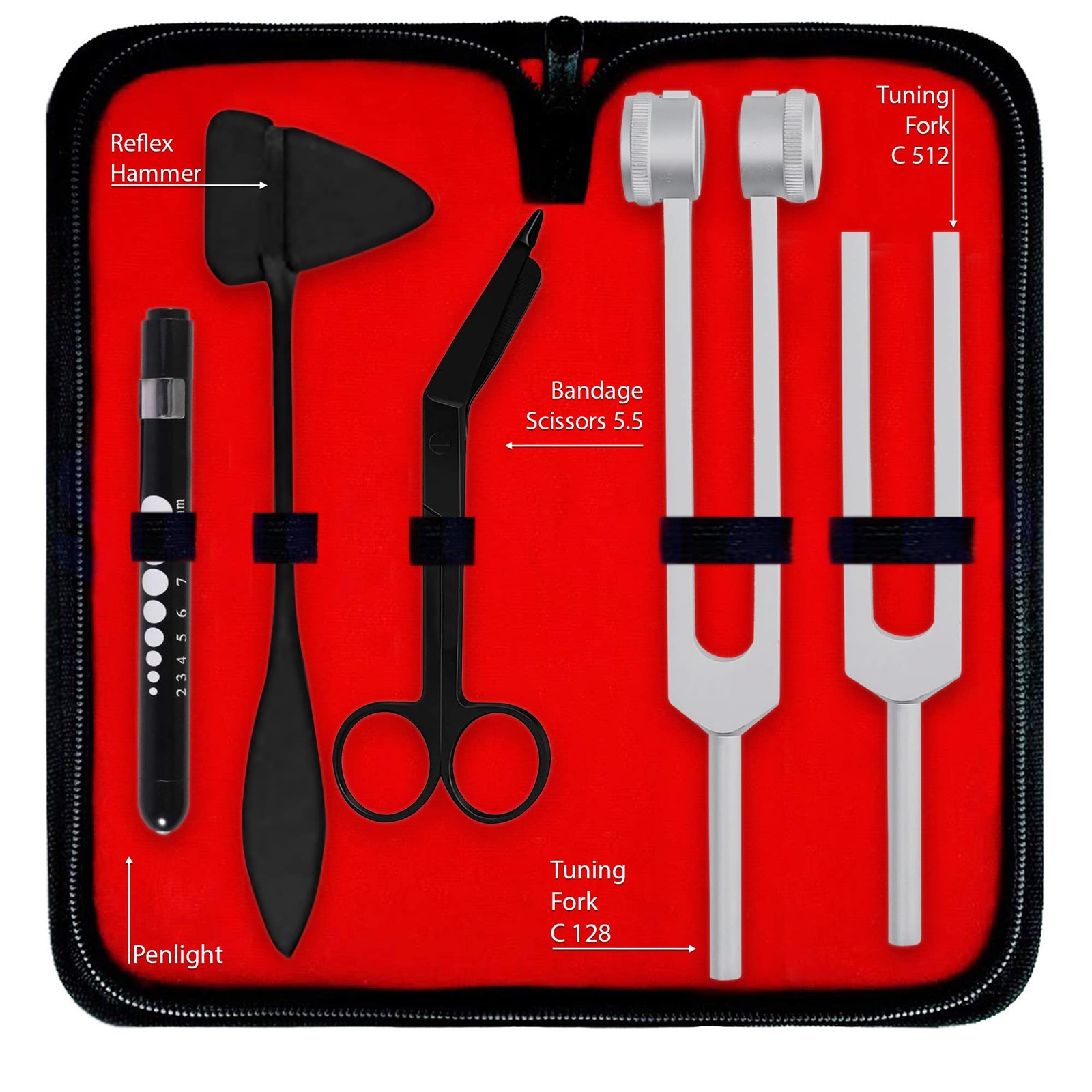 Nurse Starter Kit - Stethoscope, Blood Pressure Monitor, Tuning Forks, and Mo...