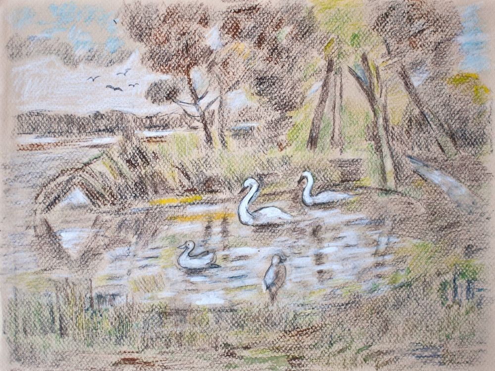 Sonja Deserts Landscape Lakeside Swans Monogram Unique Mixed Media 2013