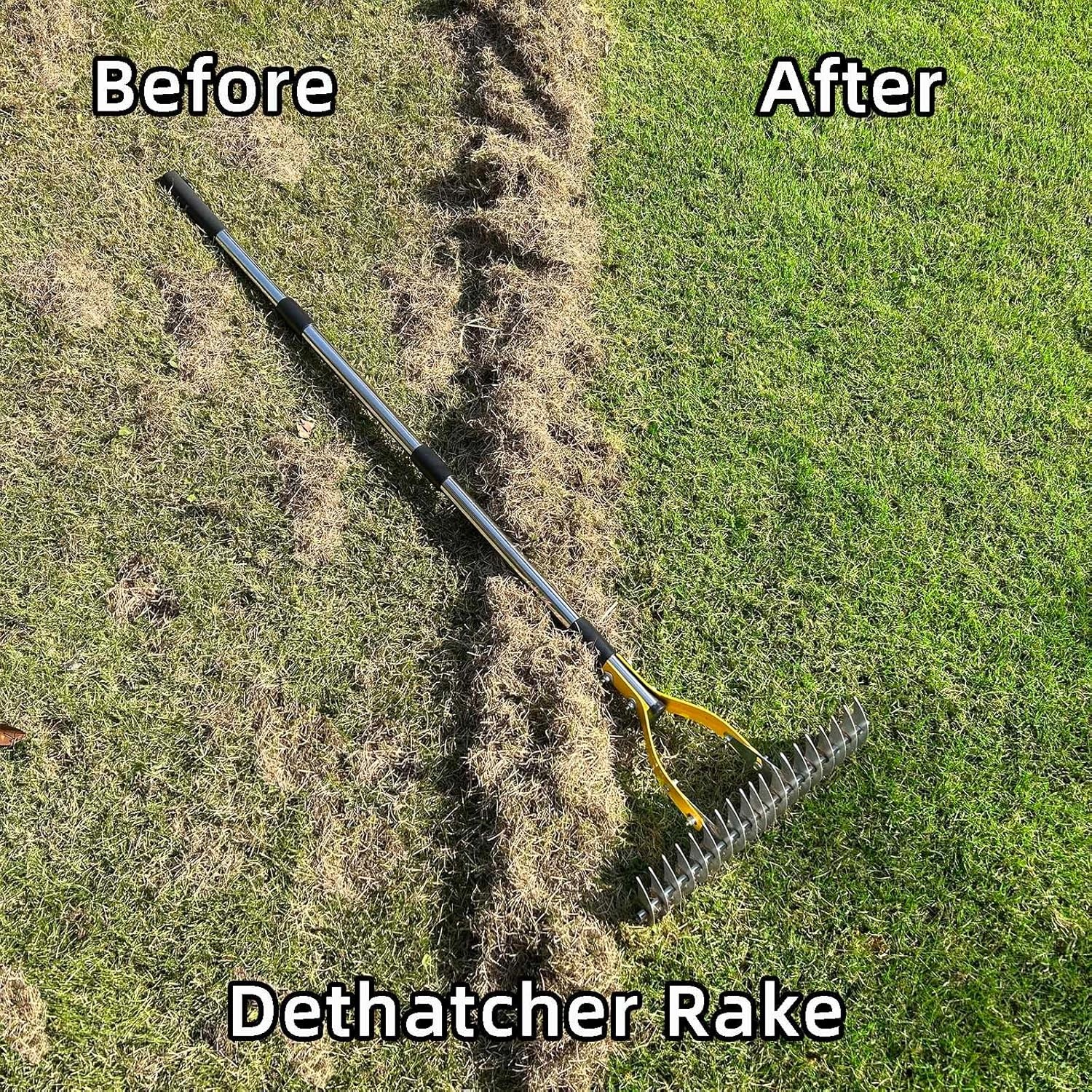 Thatch Rake 15 Inch Wide Efficient Dethatcher Rake for Cleaning Dead Grass