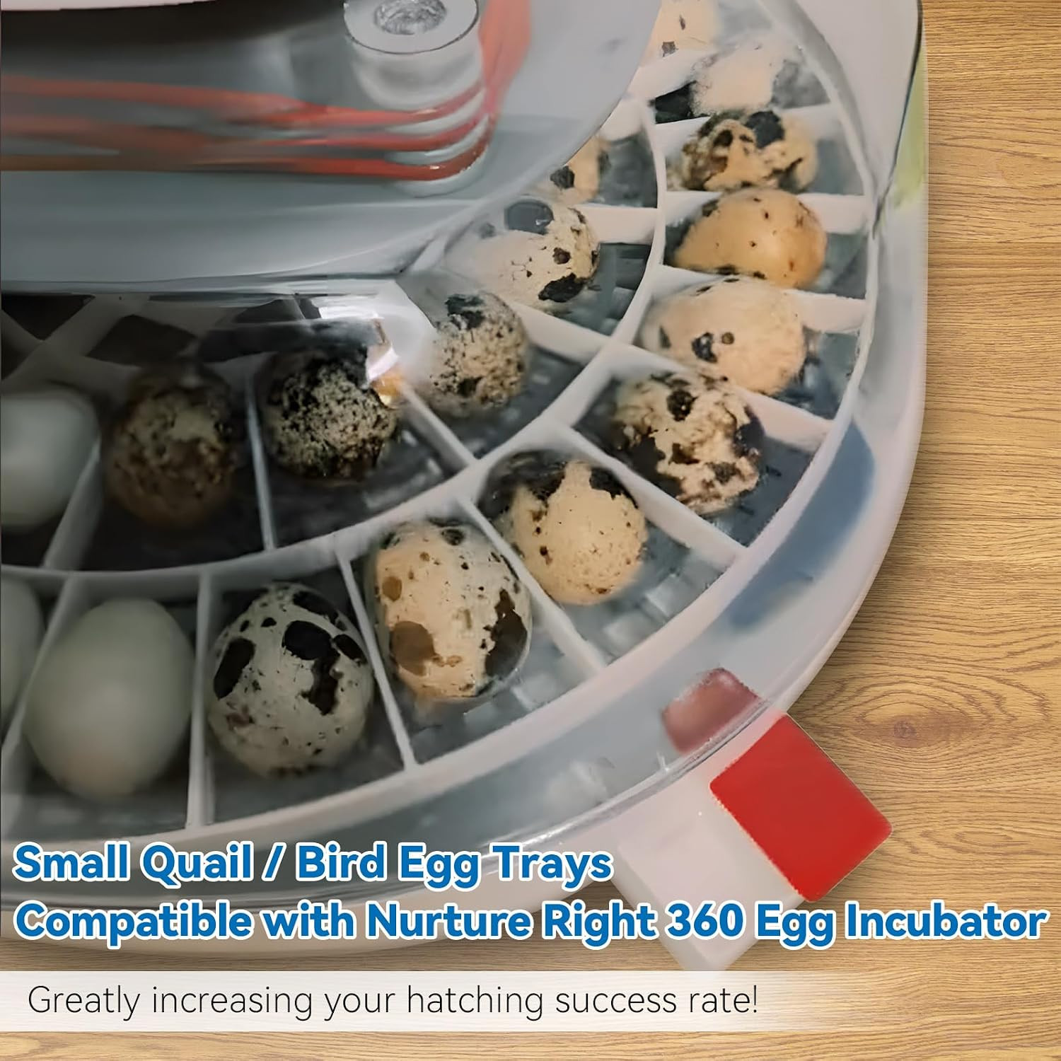 48 Egg Tray Compatible with Nurture Right 360 Incubator, Plastic Egg