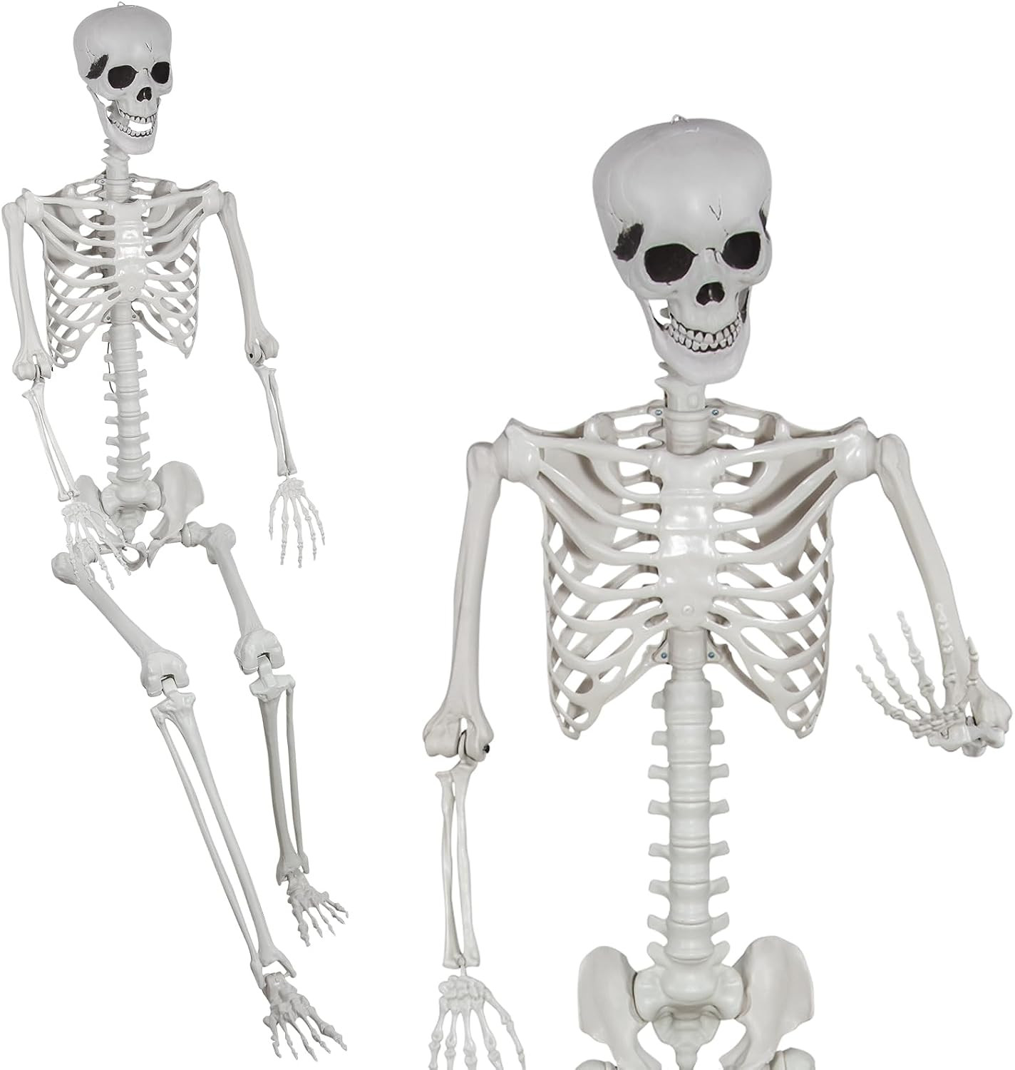 5.9Ft Halloween Full Size Skeleton, Large Human Skeleton Bones with Full Body Po