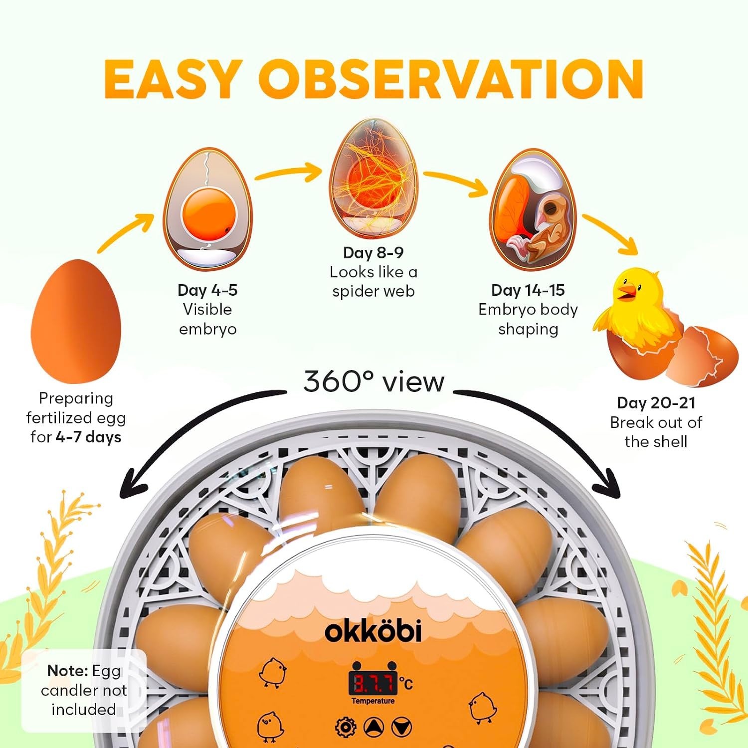 Okkobi M12 Automatic Egg Incubator with Humidity Control - 12/24 Eggs Capacity