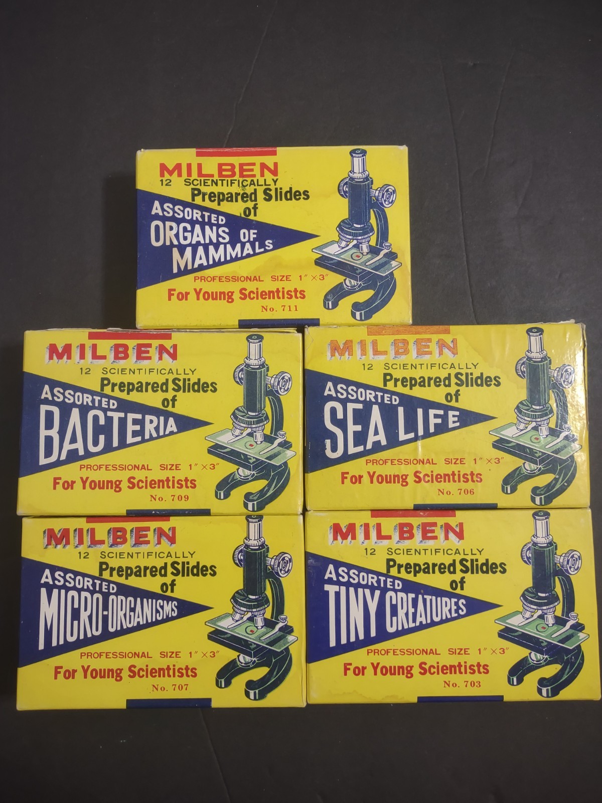 Vtg 60's Prepared Microscope Slides Lot Sears Milben Japan 5 Boxes 59 Slides  B2