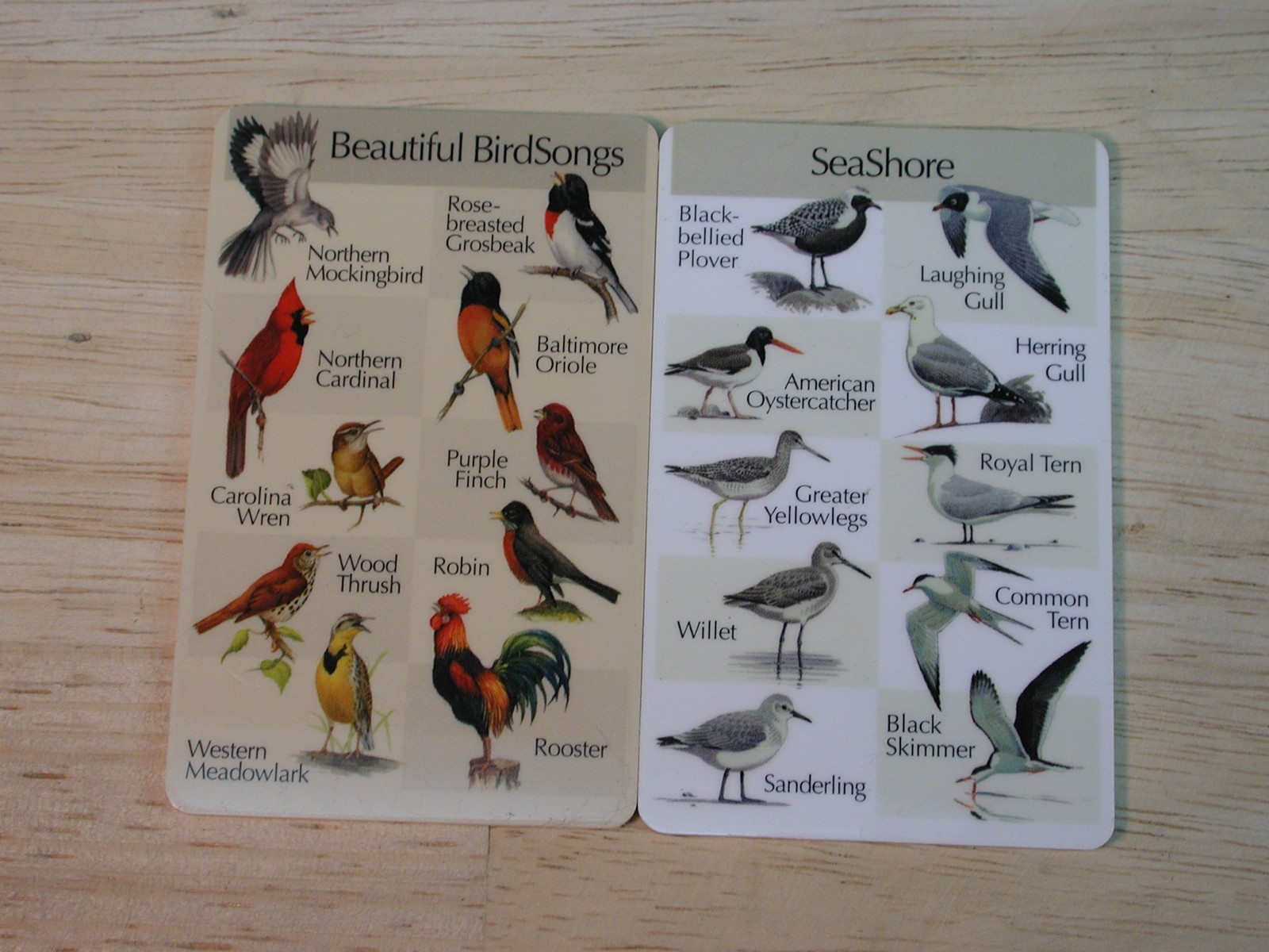 Birdsong Identiflyer - HANDHELD UNIT - player with 5 cards, identifier, tested,