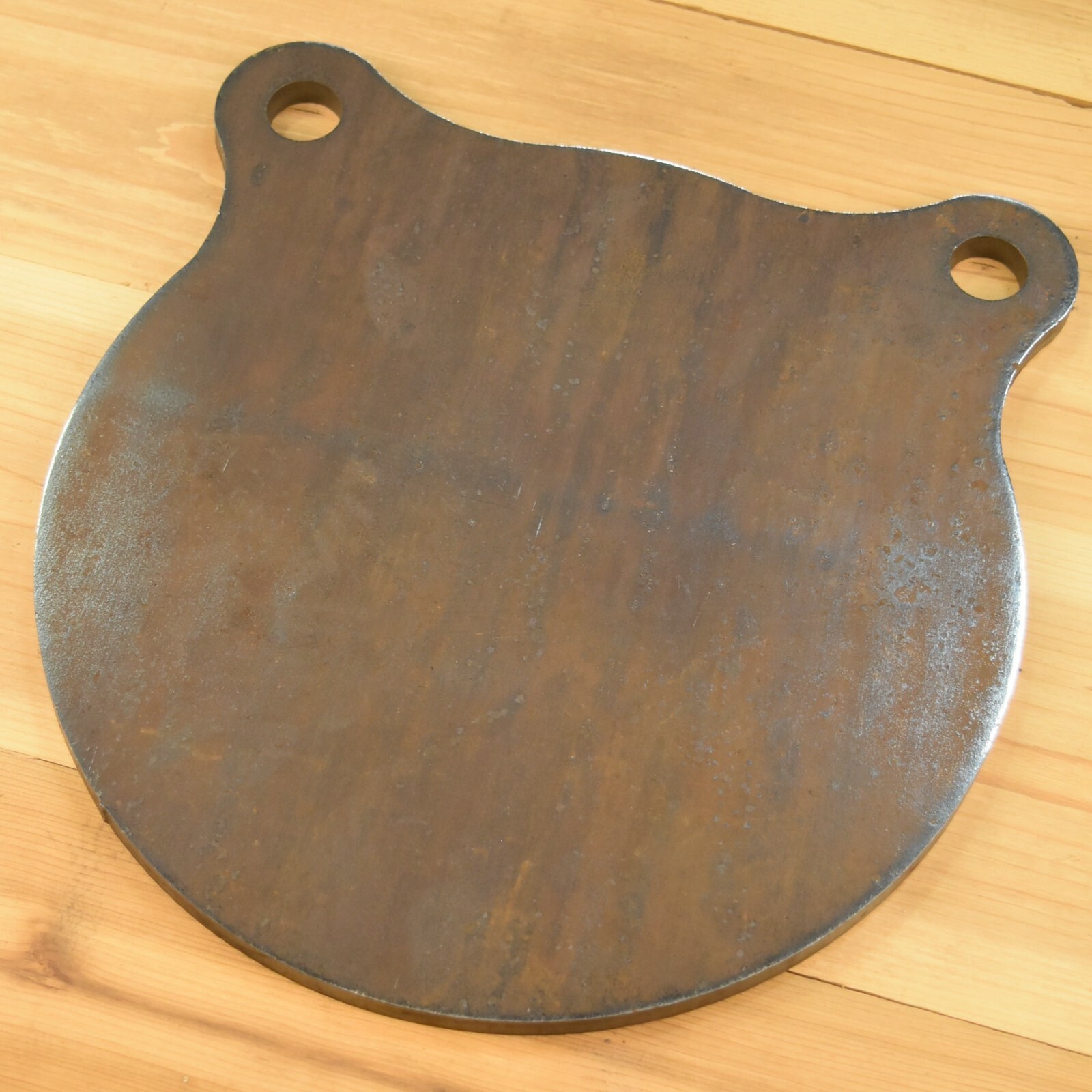 AR500 3/8" Steel Shooting Target 10" Gong