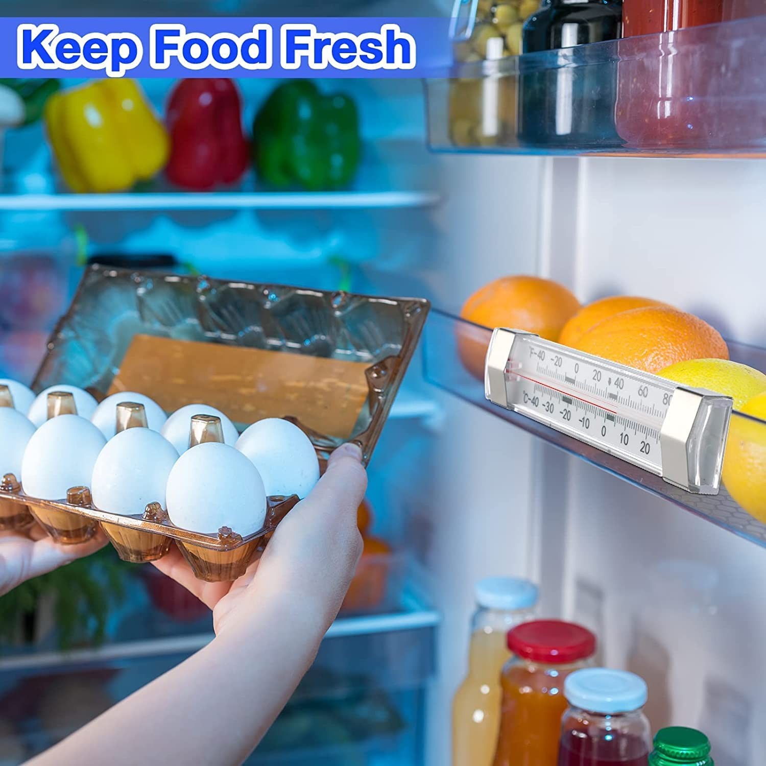 12 Pack Fridge Refrigerator Freezer Thermometer