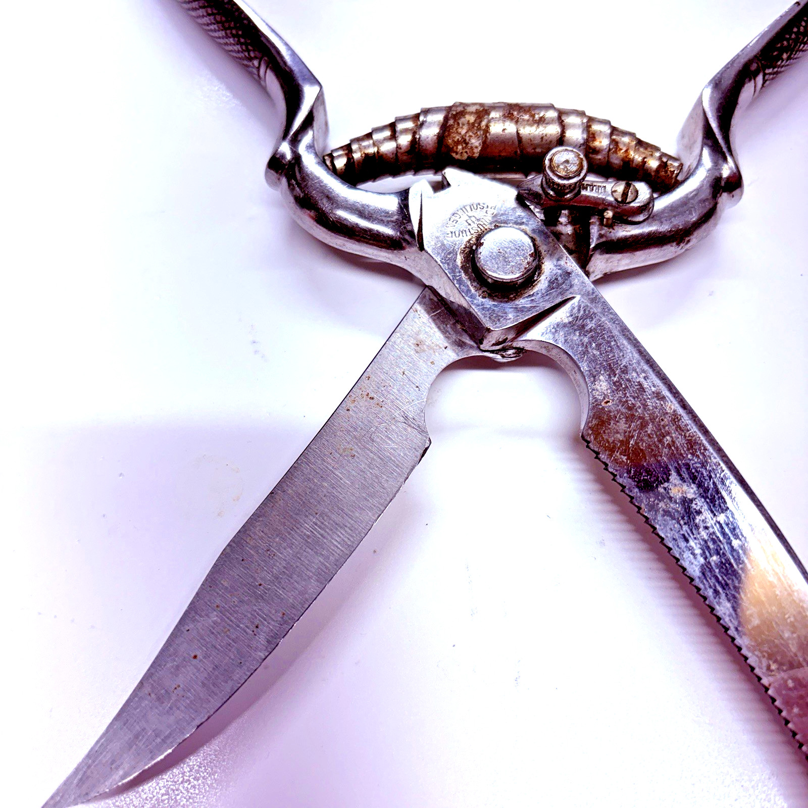VTG Poultry Shears Stainless Maker Recosa Solingen 9.5"L Sharp-Well Used-Locking